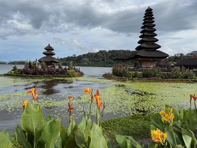 Balinese temple towers beside a lake with flowering plants in the foreground
