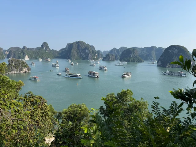 Cruise boats in a Vietnamese bay surrounded by limestone islands